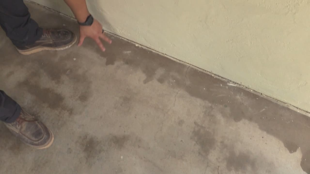 “Como se fijan aquí, el químico ya se secó entonces esta bien, pero acá aun esta el químico, entonces los perros lo pueden lamber, por eso les decimos que esperen 30 minutos, hasta que se seque y después no le va a hacer daño al perro, al niño o al adulto”, indica Uriel Rivas, experto en control de plagas.
<br>