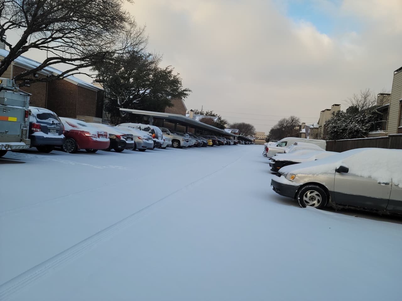 Para muchos ha sido imposible sacar sus autos de la nieve