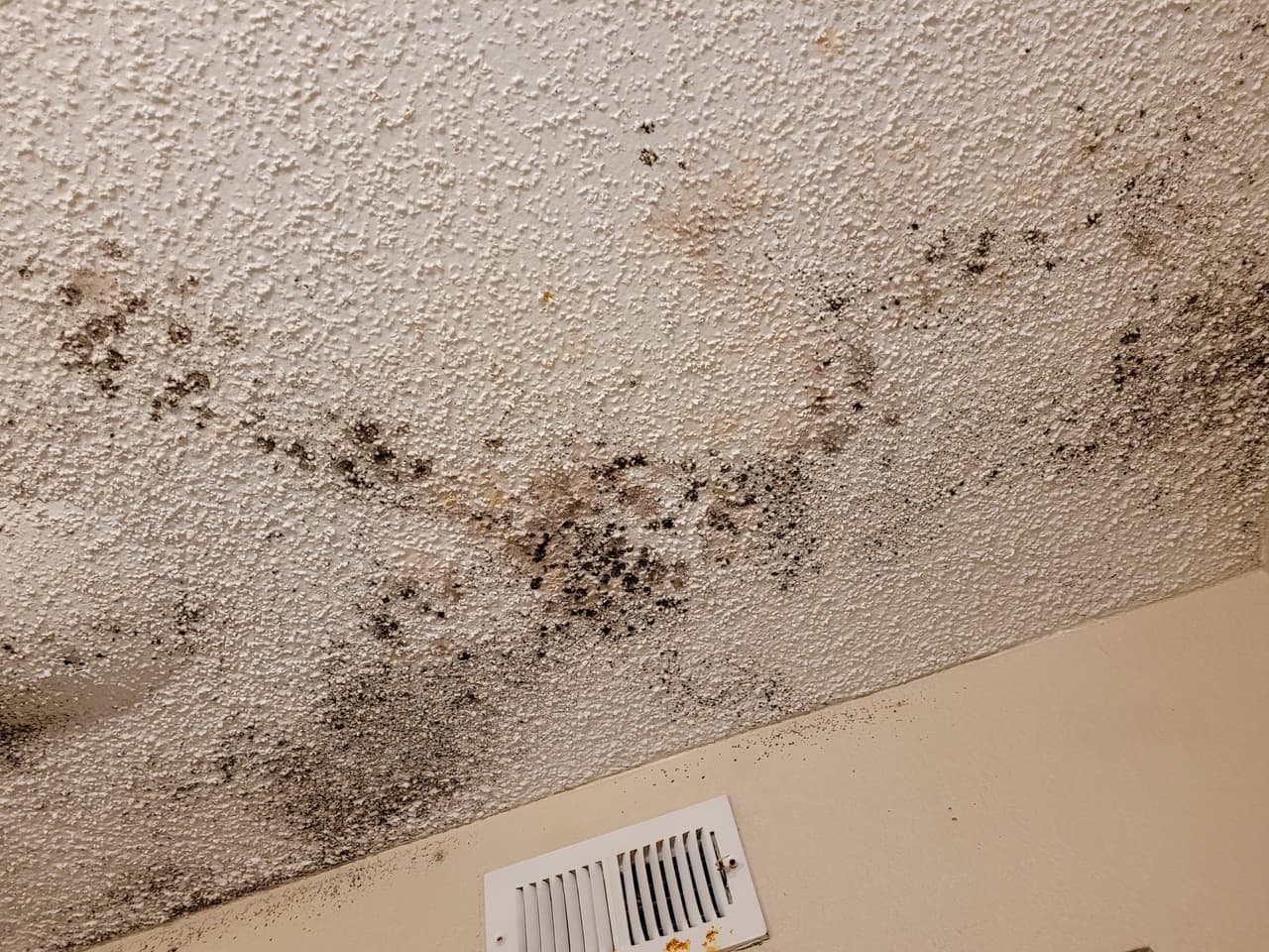 Como inquilino, la ley de Texas te protege si el lugar que rentas no cuenta con servicios básicos o si se encuentra en una situación que puede poner en peligro tu salud.