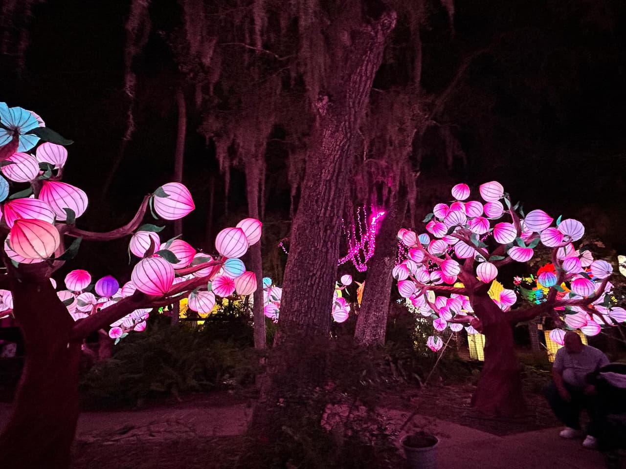 Allí podrás recorrer un sendero de ¾ de milla con faroles gigantes hechos a mano que iluminarán tu camino con distintas y hermosas formas.