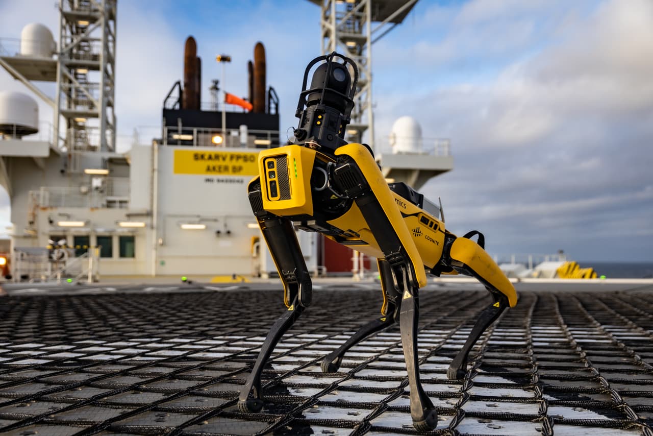 ICE destinará $2,000,000 a la compra de perros robot para apoyar operativos migratorios