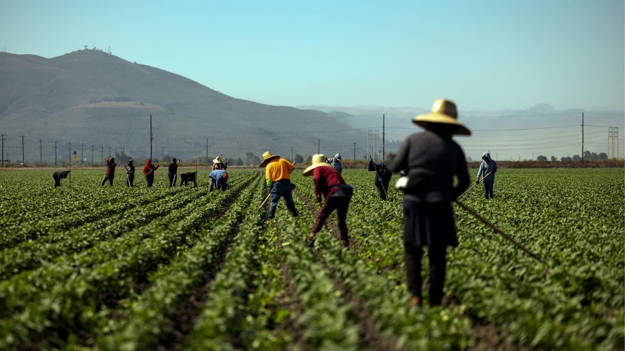 Esta propuesta de ley podría impactar el modo en que viven trabajadores agrícolas migrantes en California