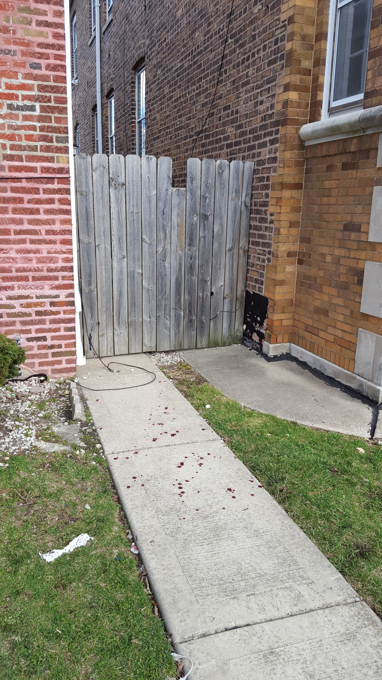 Rastos de sangre al frente de la casa