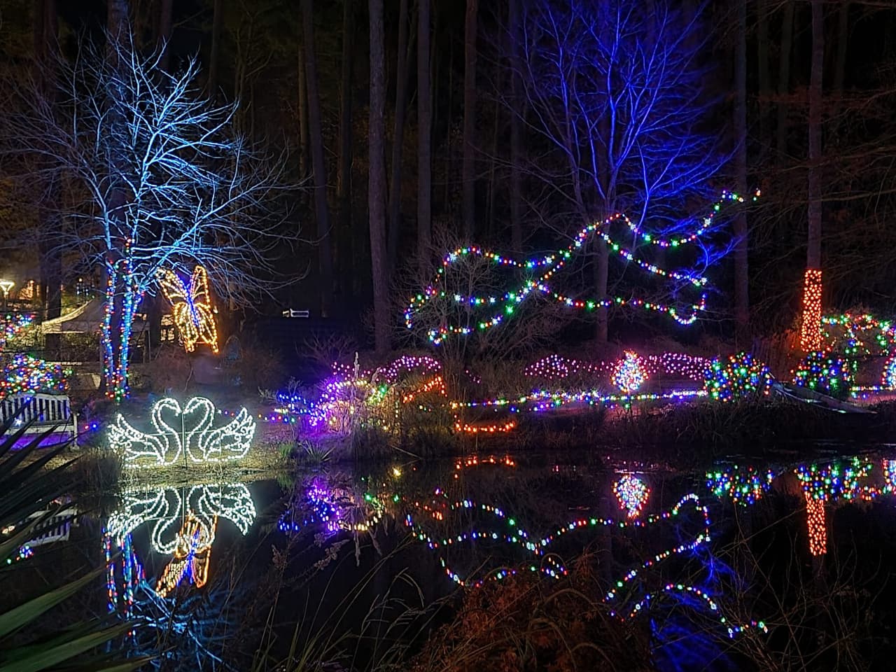 <b>Cape Fear Botanical Garden Holiday Lights</b>
<br>
<b>Fechas</b>: 1 al 21 de diciembre
<br>
<b>Lugar</b>: 536 N. Eastern Blvd. Fayetteville, NC
<br>
<b>Sitio web</b>:
<a href="https://www.capefearbg.org/event/holiday-lights-in-the-garden/2023-12-01/">https://www.capefearbg.org/event/holiday-lights-in-the-garden/2023-12-01/</a>
<br>
<br>El Jardín Botánico Cape Fear de Fayetteville da la bienvenida a su Holiday Lights in the Garden. Disfruta de sus exhibiciones de luces navideñas mientras todos los jardines están iluminados de forma festiva.