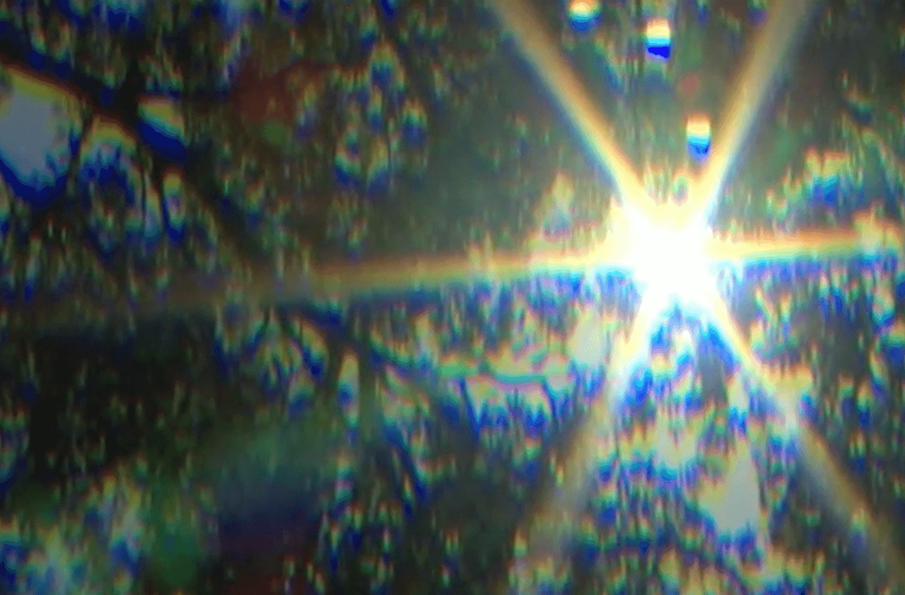 Si usted quiere plantar un árbol no lo haga a menos de 12 pies de distancia de la base de su casa porque la raíz se profundiza en la tierra, le roba humedad al cimiento e incluso puede levantarlo.