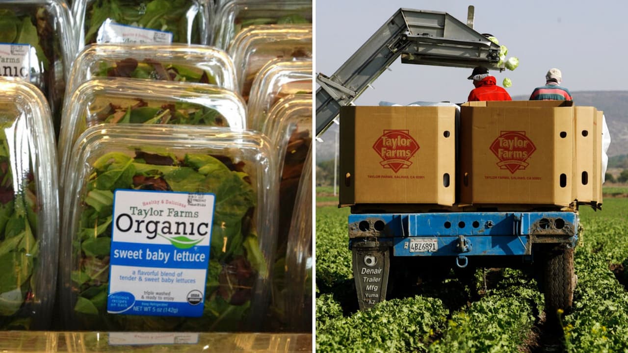 Taylor Farms amplía retiro de lechuga de México por brote de ciclosporiasis en 27 estados