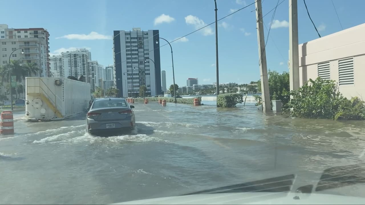 Agua hasta las rodillas sin lluvia: la marea del rey inunda las calles del sur de Florida