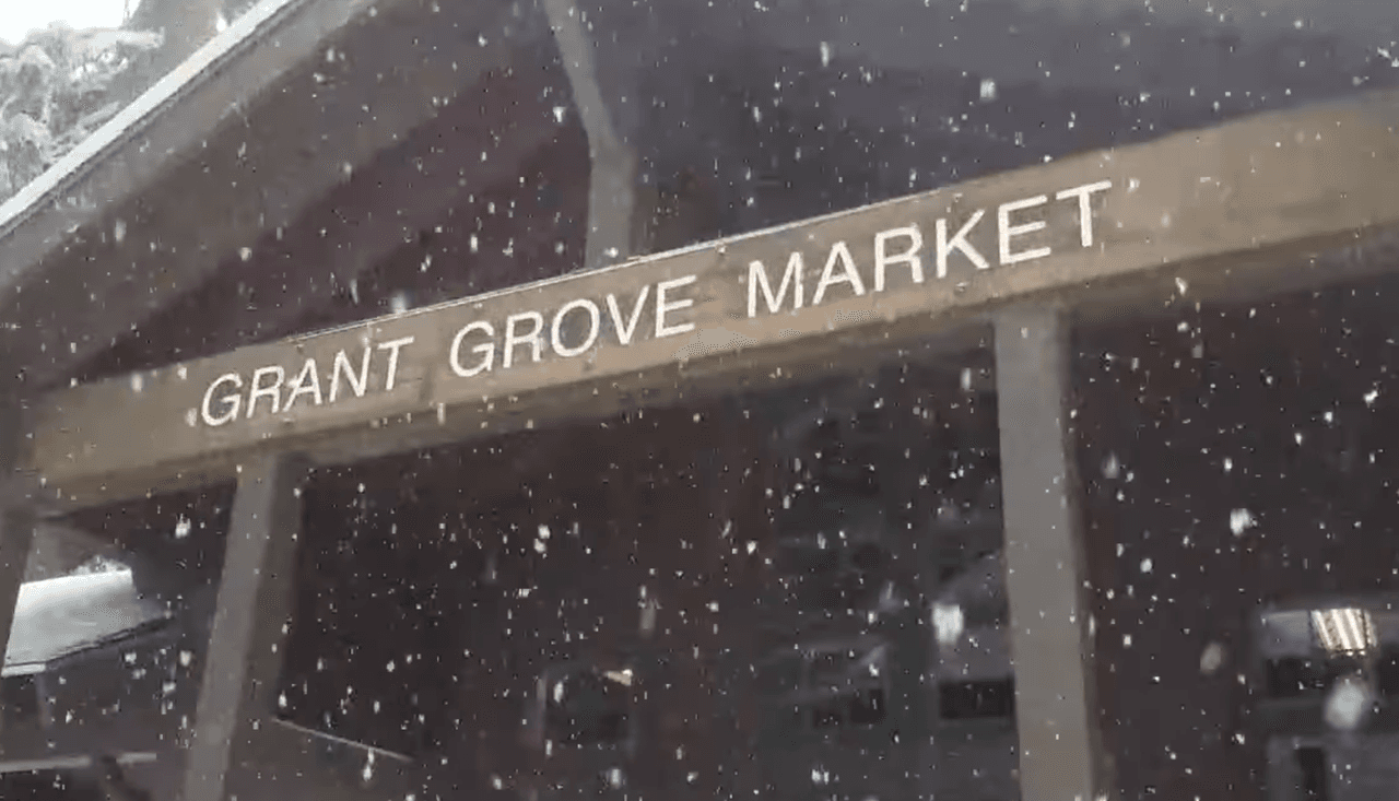 Al mediodía de este lunes, así nevaba en las afueras del Gran Grove Market, al interior del Parque Kings Canyon.