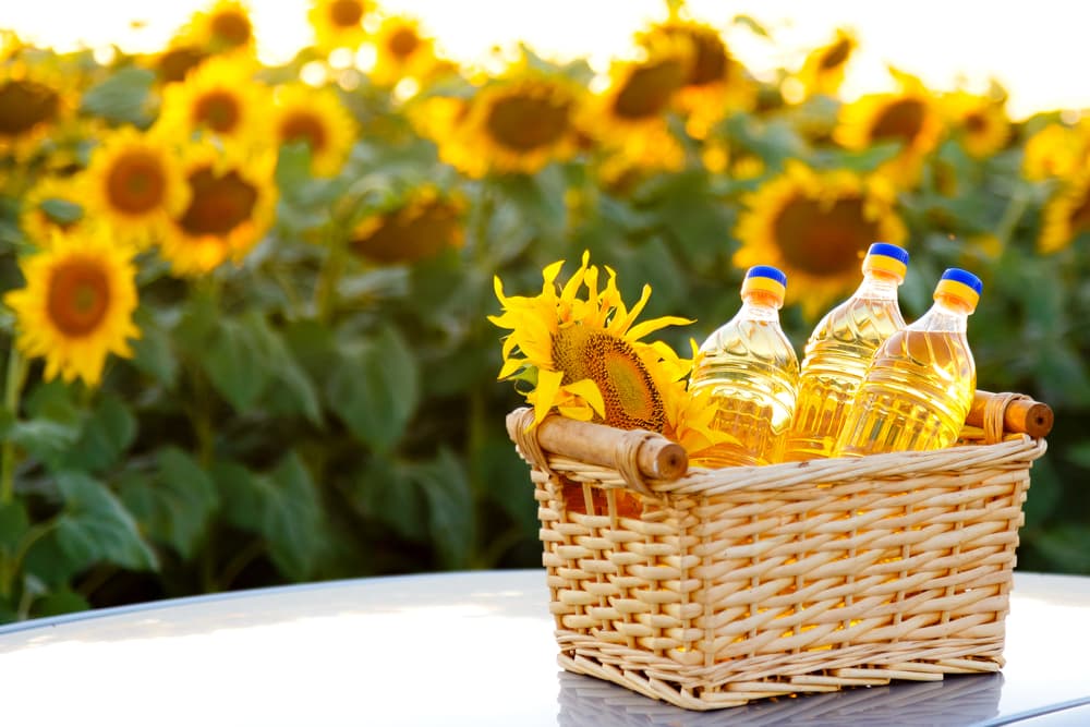 También, como el girasol es asociado con la fertilidad, gracias a su conexión con el sol, puedes comer semillas de girasol o añadir tanto pétalos como el aceite de girasol al agua de tu tina, y tomar un baño.