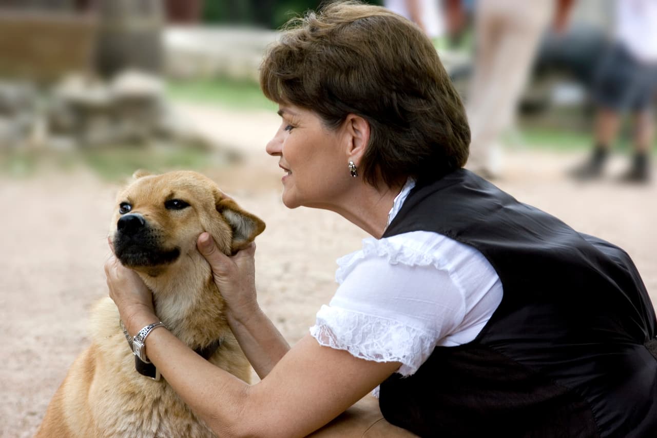 Si eres una persona de vida sedentaria y trabajas sentada, sacar a pasear al perro es una buena forma de ponerte en movimiento. Caminar a paso rápido durante 30 minutos te ayudará a mantener bajo control la presión arterial y reducir el riesgo de accidentes cardiovasculares, según la Asociación Americana del Corazón.