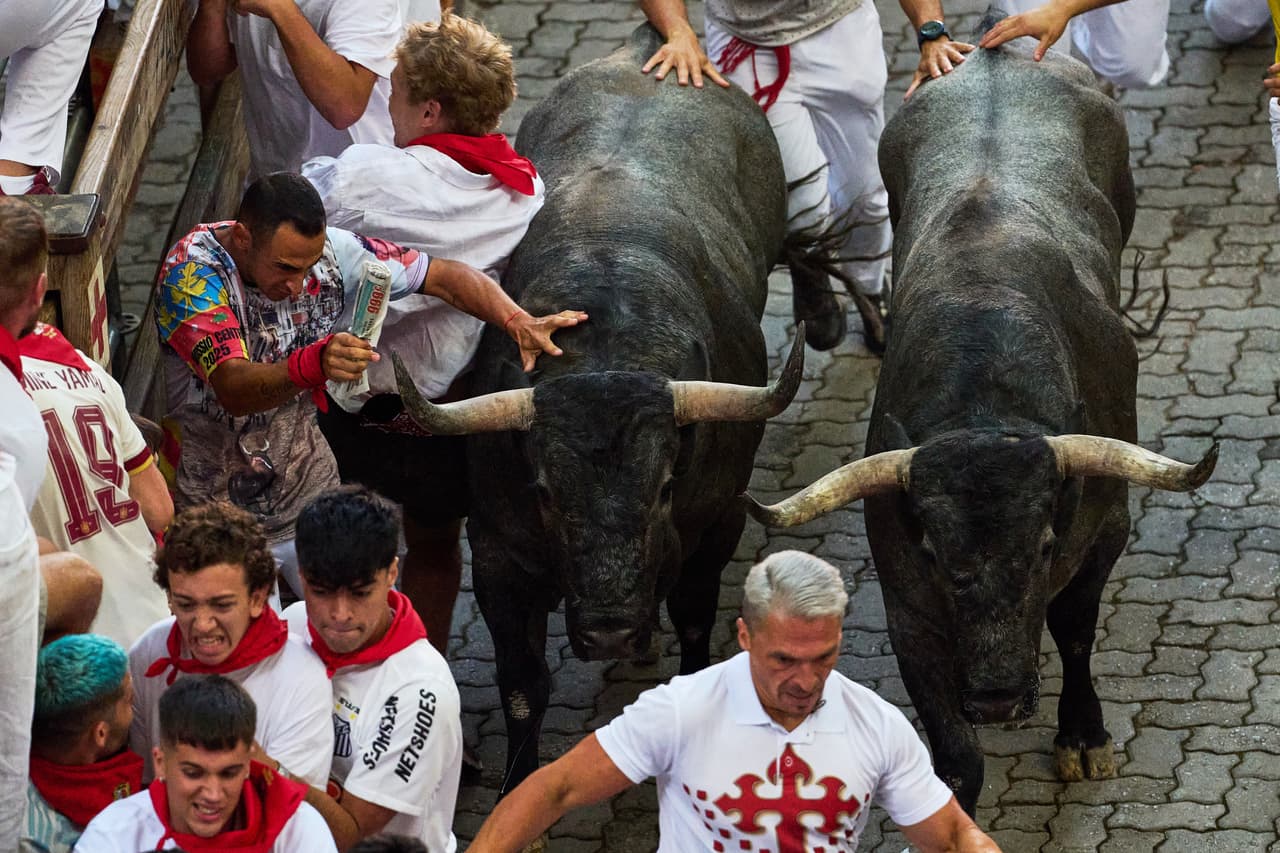 Un toro negro se separó de la manada al comienzo de la carrera de 875 metros (957 yardas) y embistió a un grupo de personas, golpeando a una de ellas de lleno en el costado de la cara con un cuerno. No quedó claro si ese fue el momento de la cornada.
