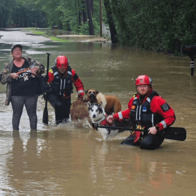 La Oficina del Sheriff le pidió a los residentes
<b>al este del condado de Harris evitar las zonas de aguas altas. </b>