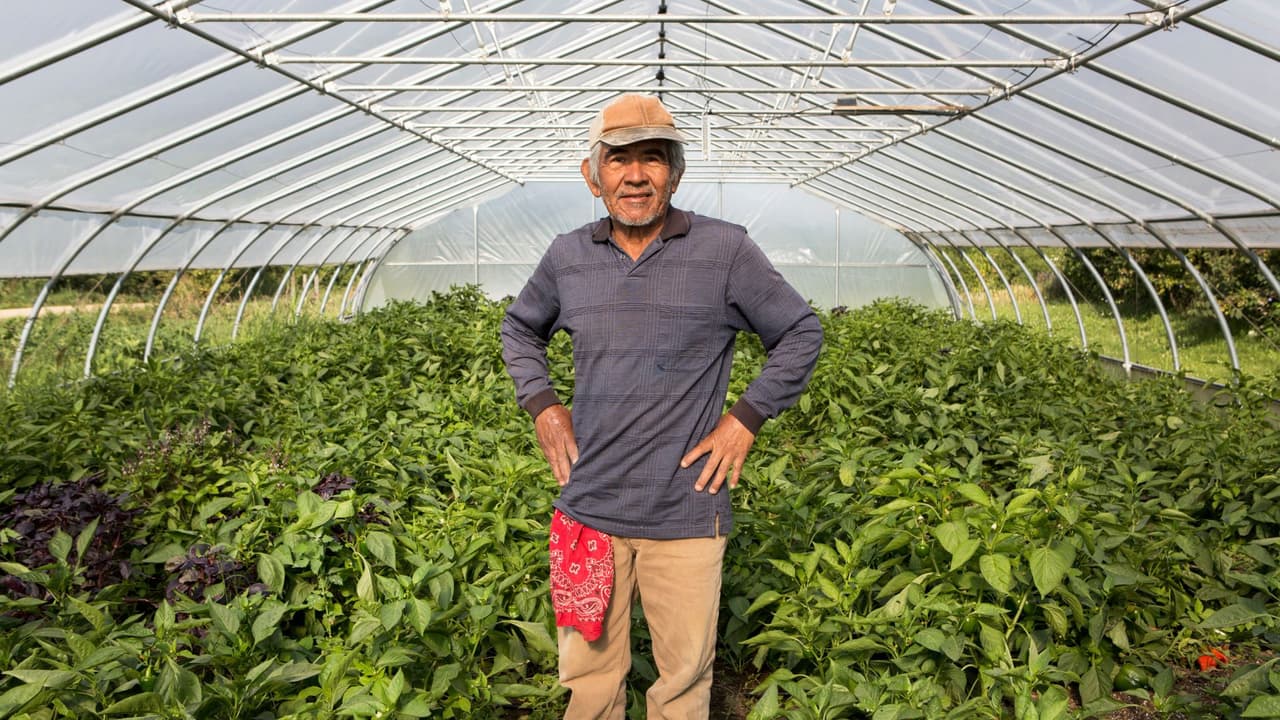 ¿Puedes presentar una denuncia si no se respetan tus derechos laborales?