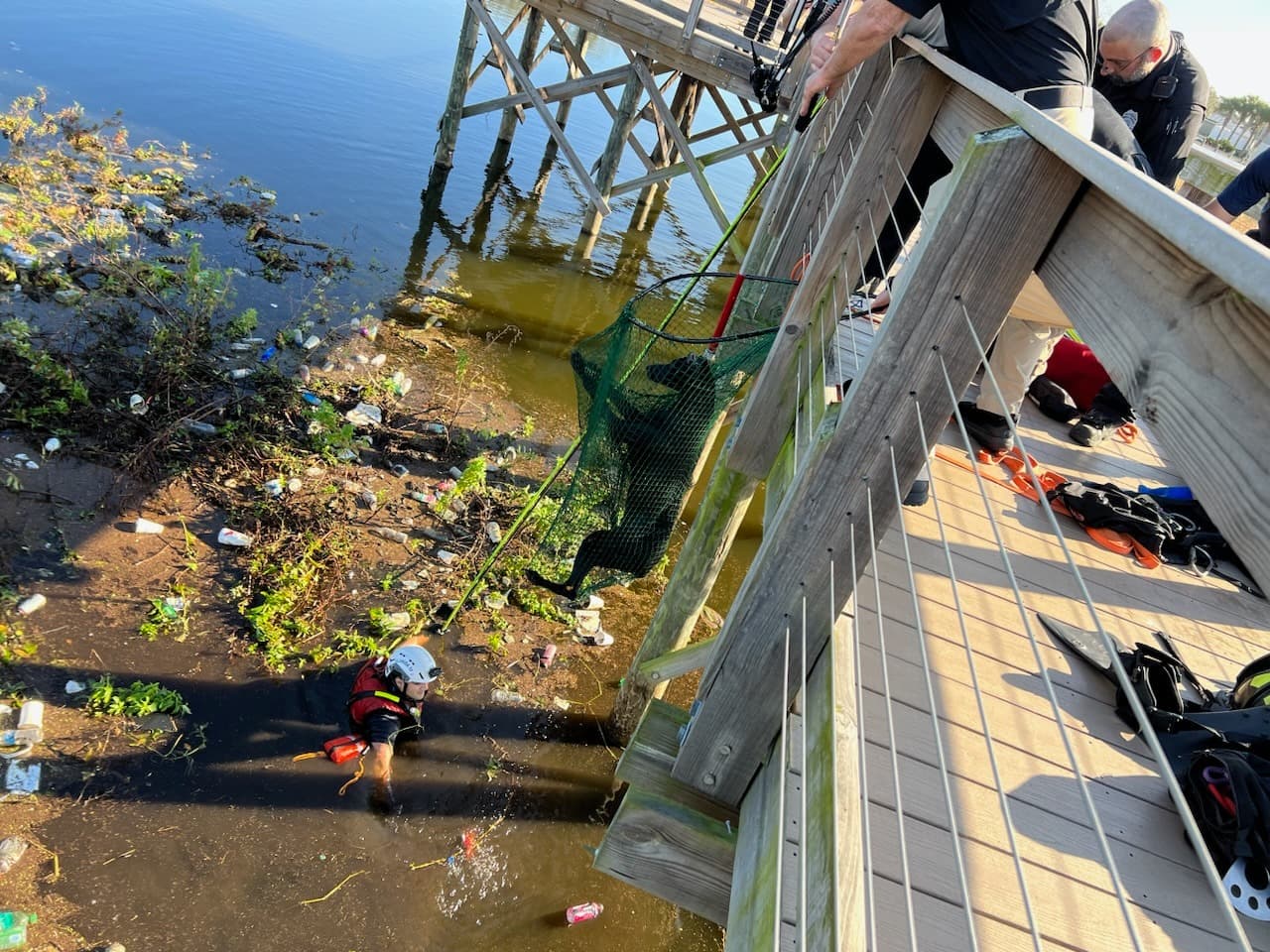 Navas se acercó al perro atrapado y lo enlazó con el equipo de Control Animal, llevándolo al paseo marítimo, donde lo levantaron con seguridad usando una red grande.