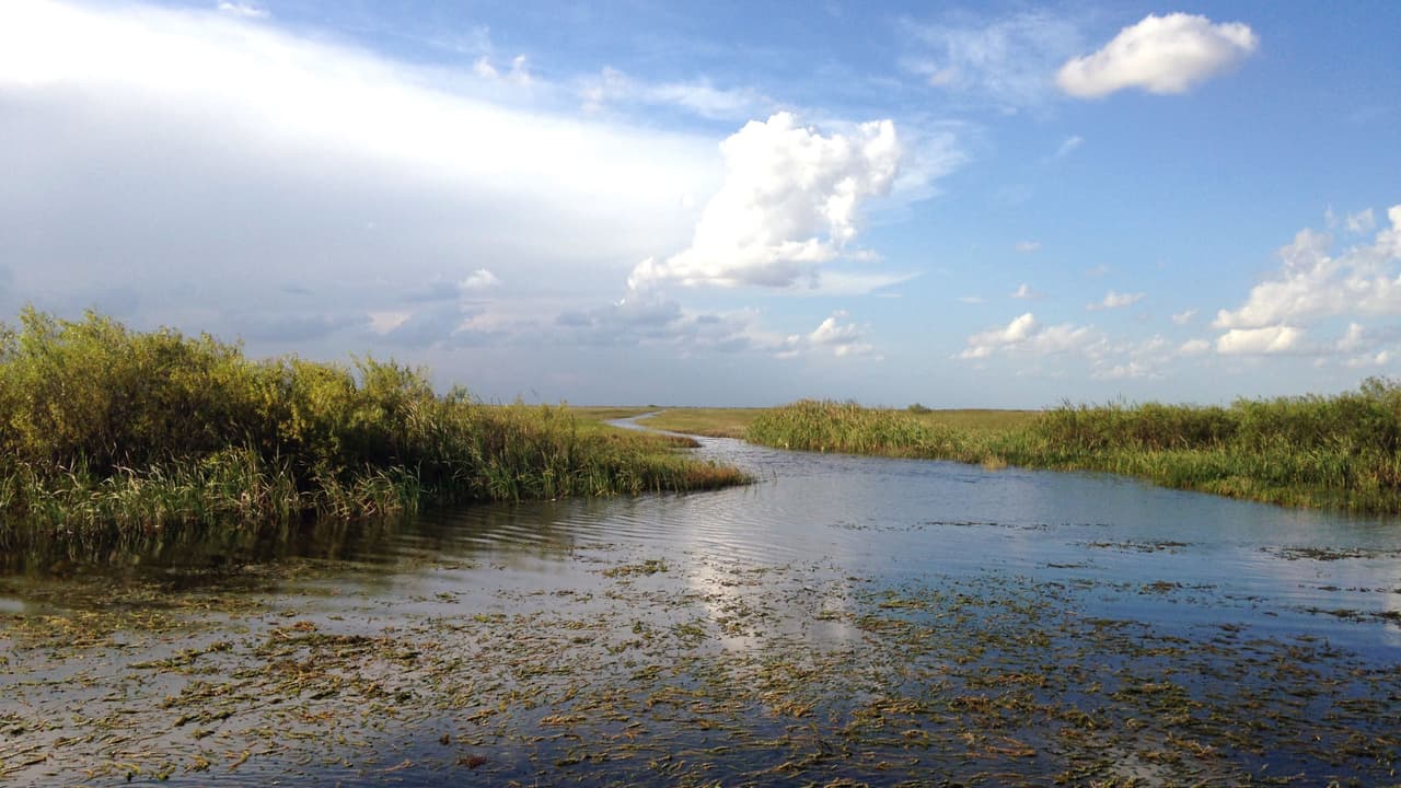 <br>Ejemplo de un canal artificial excavado para desviar las aguas en el Sur de la Florida.