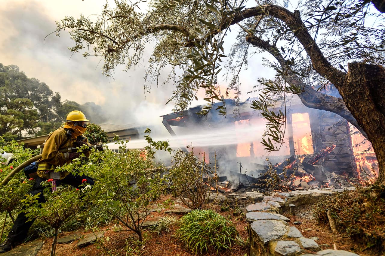 De acuerdo con los datos más recientes, más de 1,000 bomberos combaten las llamas.