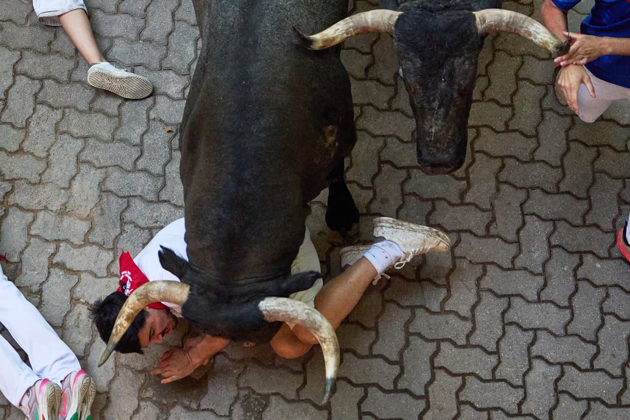 Muchos corredores parecían completamente ajenos a la presencia de los toros que les pisaban los talones y, en lugar de intentar cornearlos, simplemente los apartaban de un empujón.