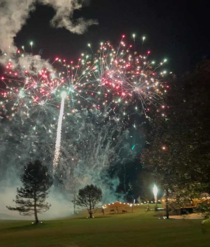 Para darle la bienvenida a este año,
<a href="https://www.univision.com/famosos/nadia-ferreira-marc-anthony-bebe-perro">la pareja, que ya tiene un “bebé”</a>, gozó viendo un ‘show’ de fuegos artificiales.
<br>