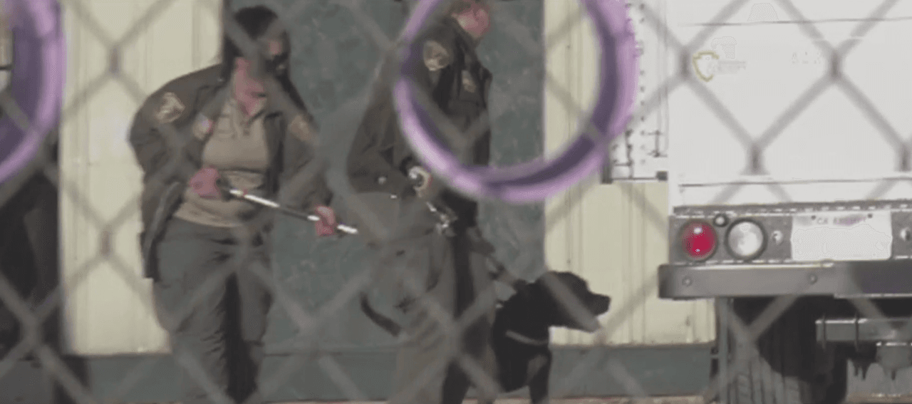 "Lo descuidamos dos segundos": lo que se sabe de la muerte de un niño de 5 años atacado por el perro de su familia