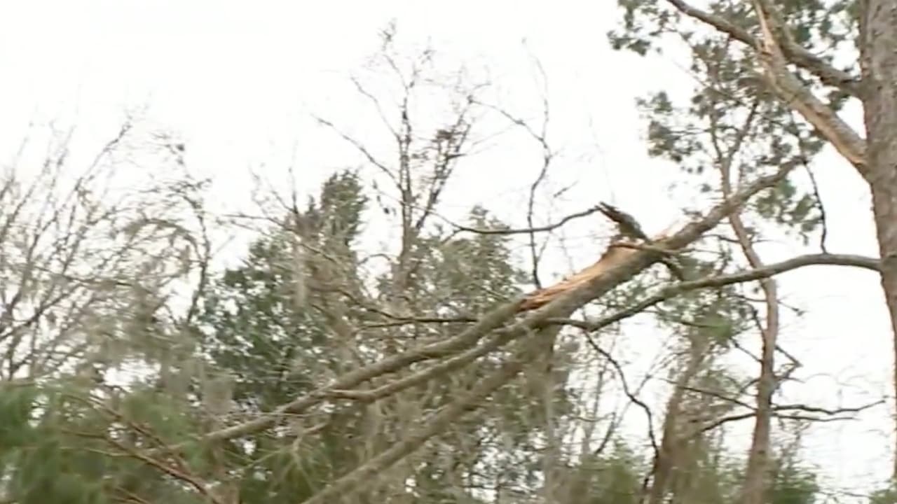 Fuertes vientos causan destrozos en Dolen al noreste del área de Houston
