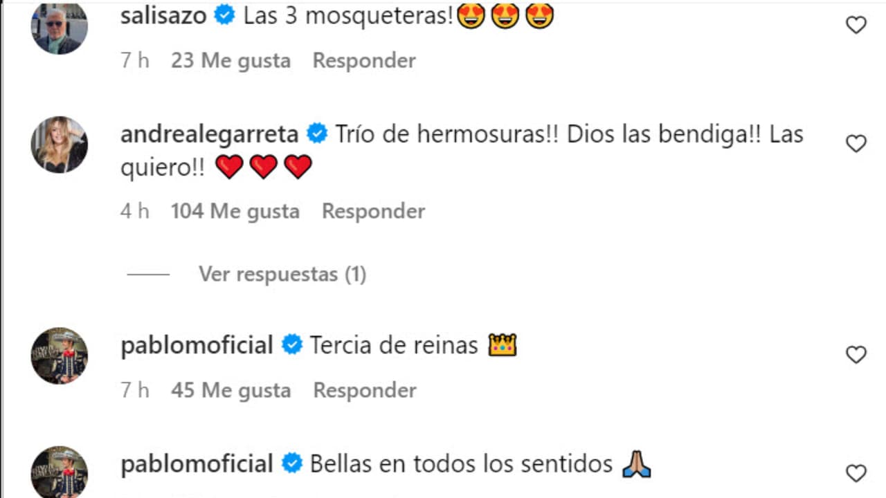 Varios famosos reaccionaron al reencuentro entre Maribel Guardia, Victoria Ruffo y Aracely Arámbula.