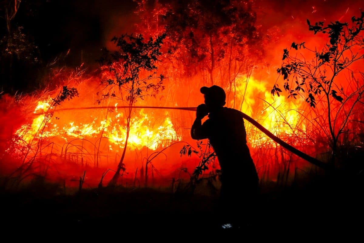 Un bombero de la Agencia Regional de Gestión de Desastres sofoca un incendio forestal en la aldea de Sungai Rambutan, en Ogan Ilir, Sumatra del Sur, el 11 de septiembre de 2026.