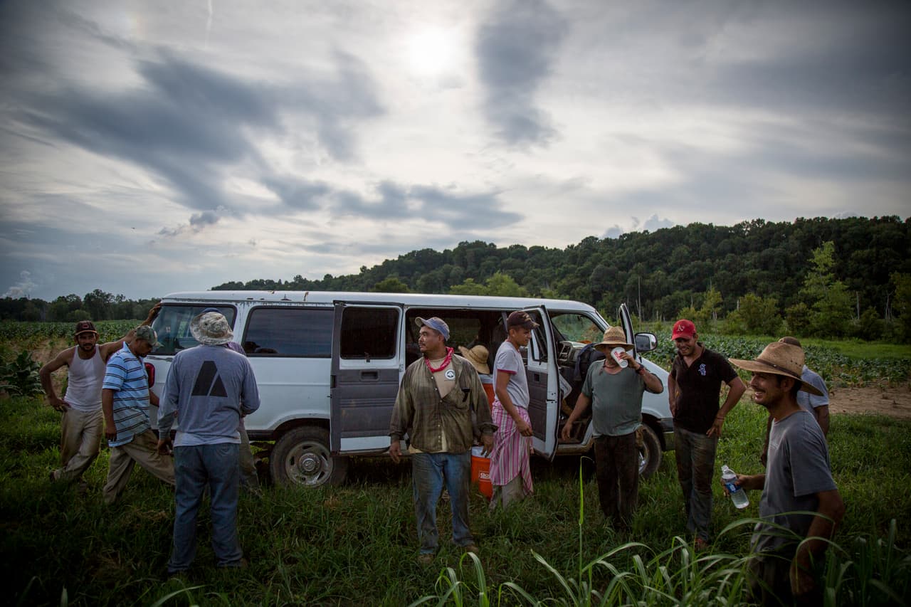 Cuando no queda ni una flor, el grupo se alista para regresar a la instalación principal. (Nacho Corbella/Univision Noticias)