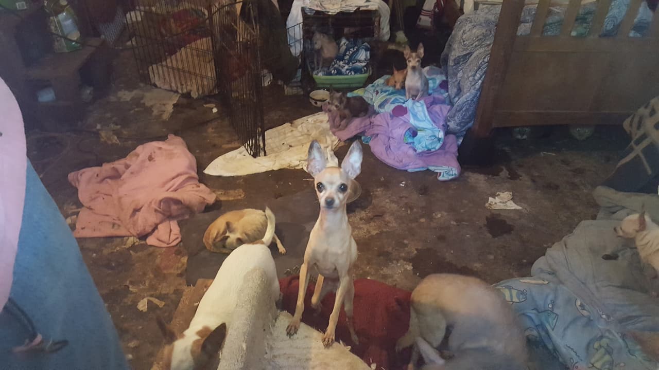 El dueño del inmueble tendrá que pesentarse a una audiencia para responder por el caso.