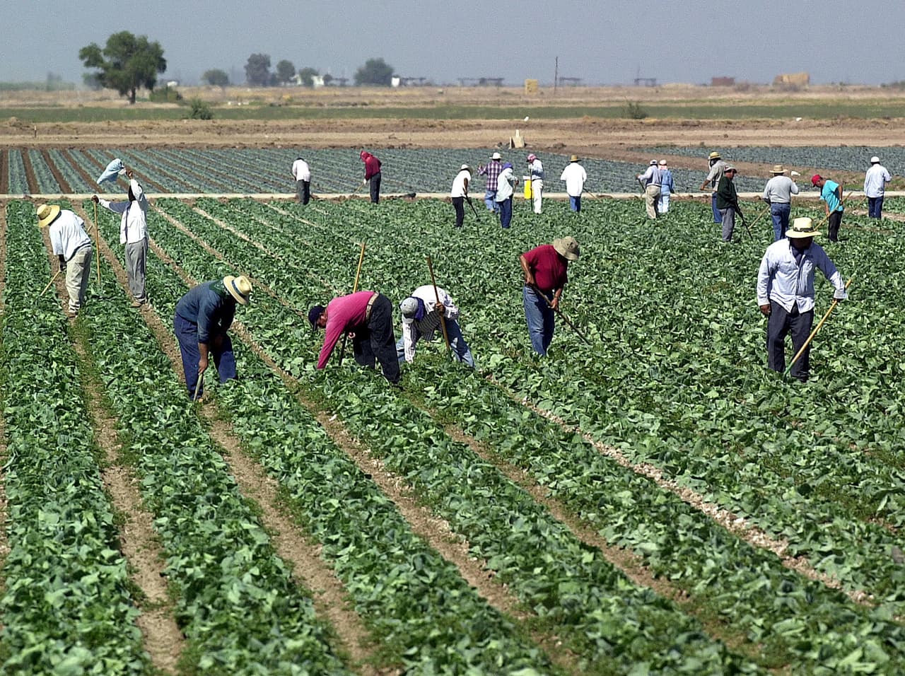 En el puesto 22 se encuentra El centro, California.
<br>
<br>• Empleo: 2014-2019: -2.6% (58,616 a 57,064).
<br>
<br>• Empleo estatal: 2014-2019: + 6.9% (17,302,871 a 18,493,254).
<br>
<br>• Desempleo de junio: 18,6%.
<br>
<br>• Industria con mayor disminución del empleo: producción de bienes.
<br>
<br>• Ingreso promedio de un hogar: $ 47,211.
