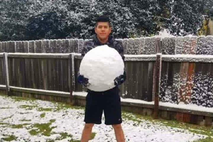 Muchos aprovecharon el raro evento para tomarse fotos, jugar con la nieve y construir el tradicional muñeco navideño.