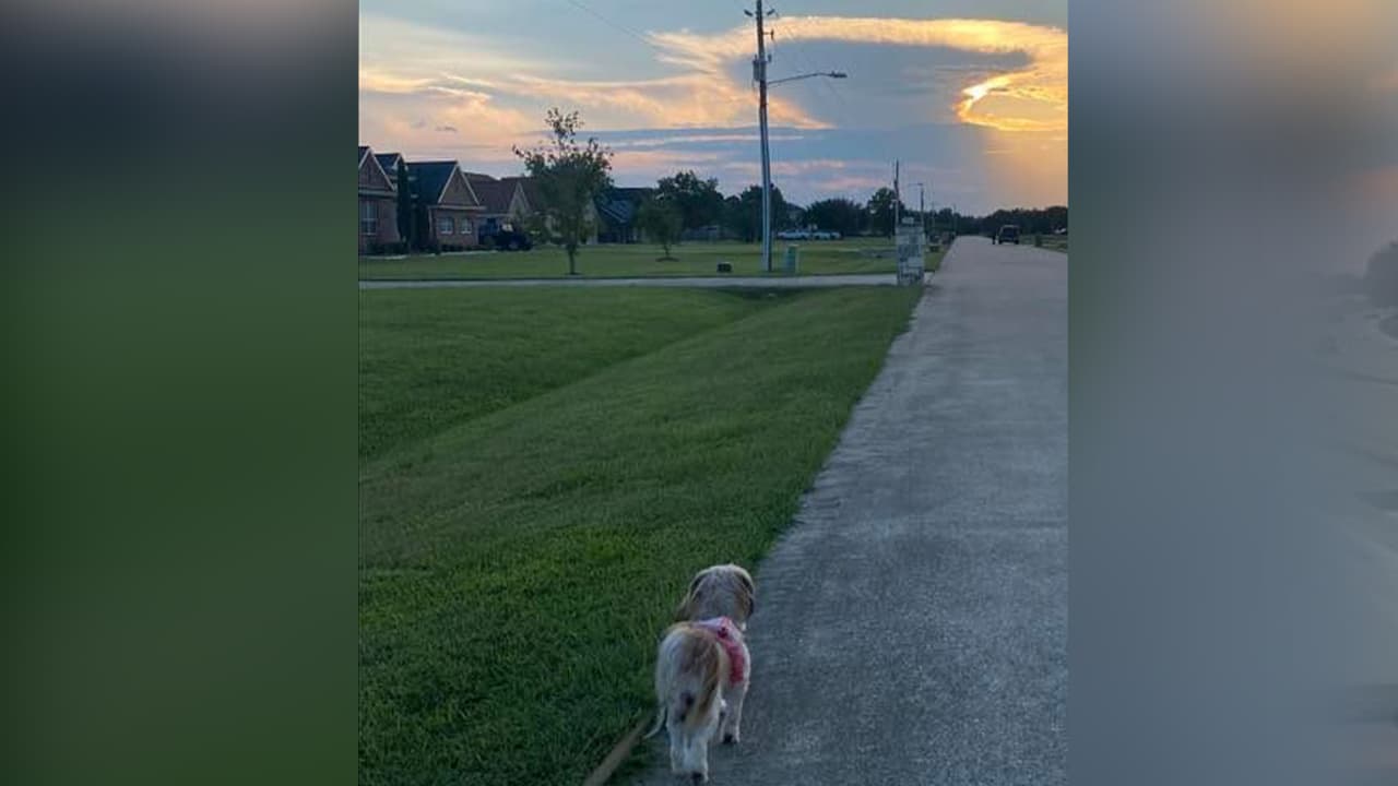 Sara Yanez - "Así está de bonito el atardecer en Beach City", indicó.