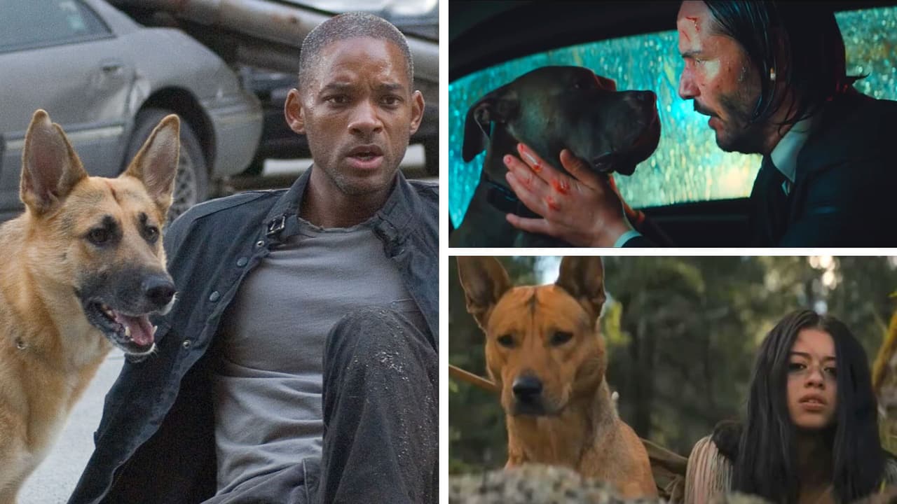 La perrita de ‘Prey’ y otros 5 adorables caninos en el cine: la muerte de unos nos hizo llorar