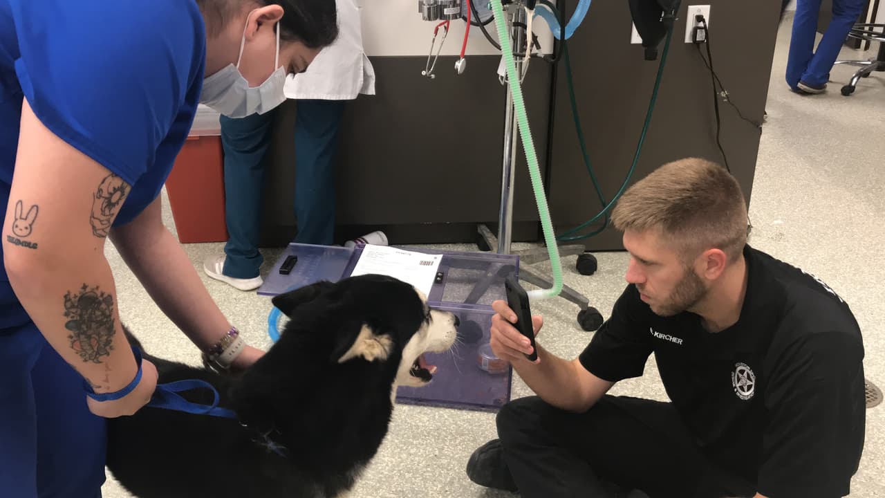 Un niño estaba junto a la mujer y se ve cómo intenta detenerla,
<b>pero ella no le hace caso.</b>