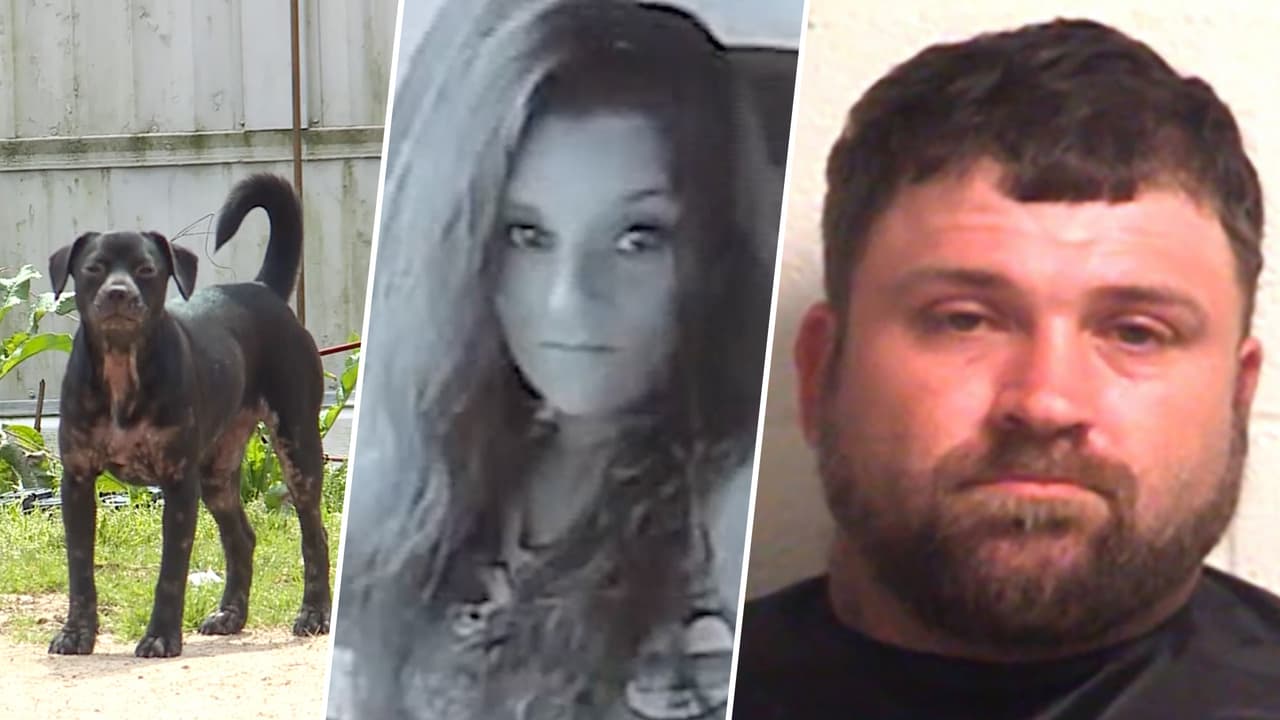 Arrestan a dueño de 2 pitbull y un perro mestizo que atacaron y mutilaron a una madre en Carolina del Sur