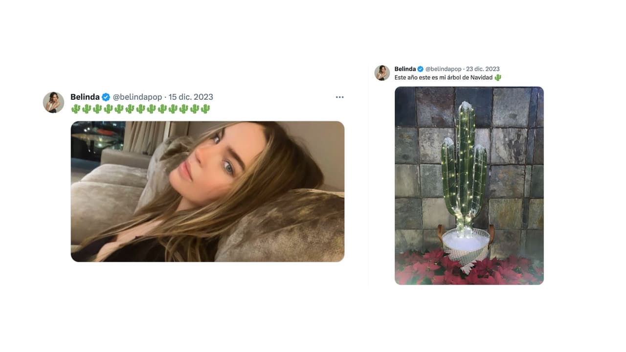 El cactus se habría convertido en la planta favorita de Belinda, misma por la que Nodal tendría favoritismo.