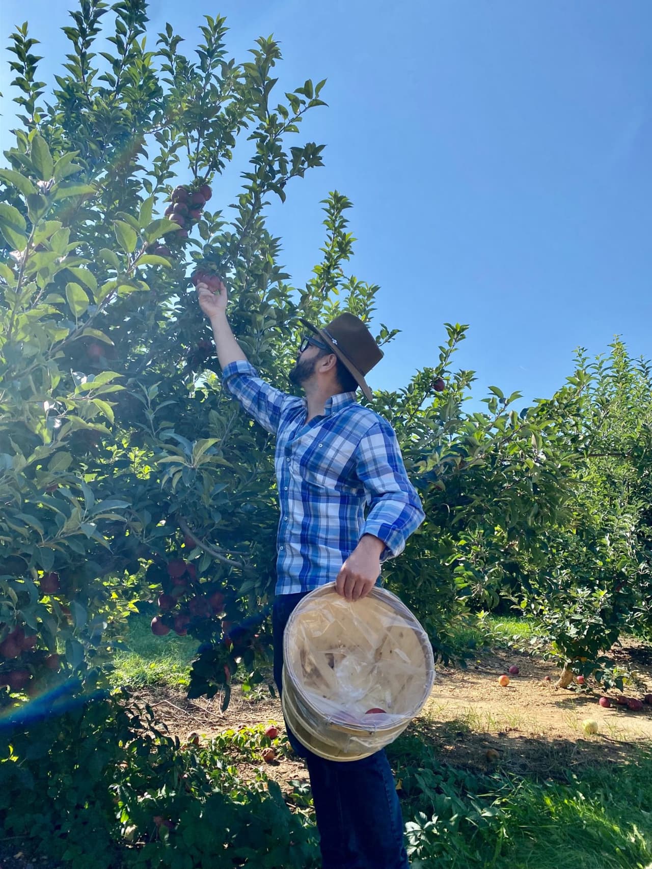 <b><a href="https://www.kuipersfamilyfarm.com/" target="_blank">Kuipers Family Farm</a></b>
<br>1N318 Watson Rd
<br>Maple Park, IL