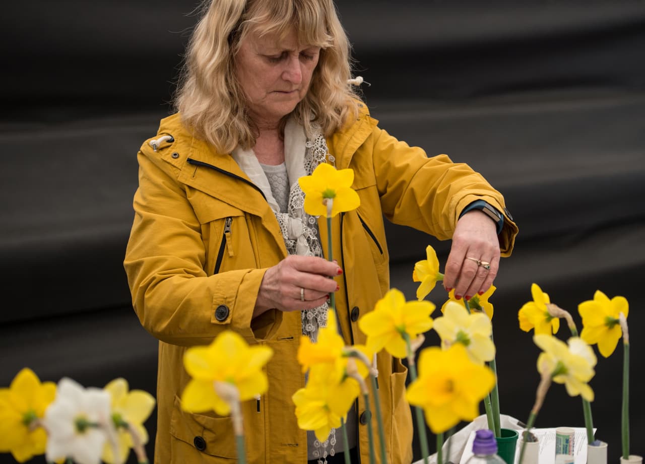 <a href="https://www.univision.com/noticias/salud/quieres-dormir-y-frenar-el-insomnio-sin-medicamentos-este-programa-propone-una-solucion">La dificultad para conciliar el sueño</a> y los cambios bruscos de humor pueden ser señales de que se acerca la menopausia, aunque
<a href="https://www.nia.nih.gov/health/cuales-son-senales-sintomas-menopausia">todavía no hay una explicación científica</a>. Algunos especialistas lo asocian al estrés y cambios familiares (los hijos crecen, los padres envejecen).