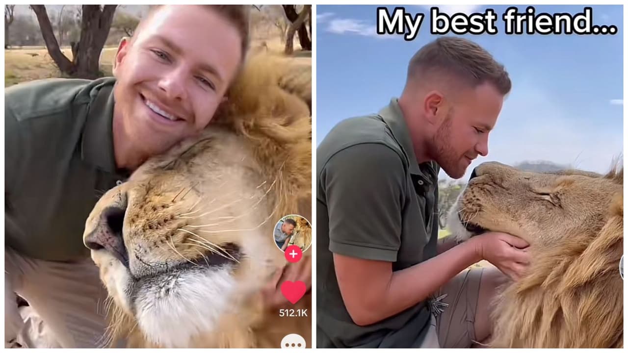 Hombre presume su inususal amistad con un león: nadie puede creer cómo juegan y se abrazan