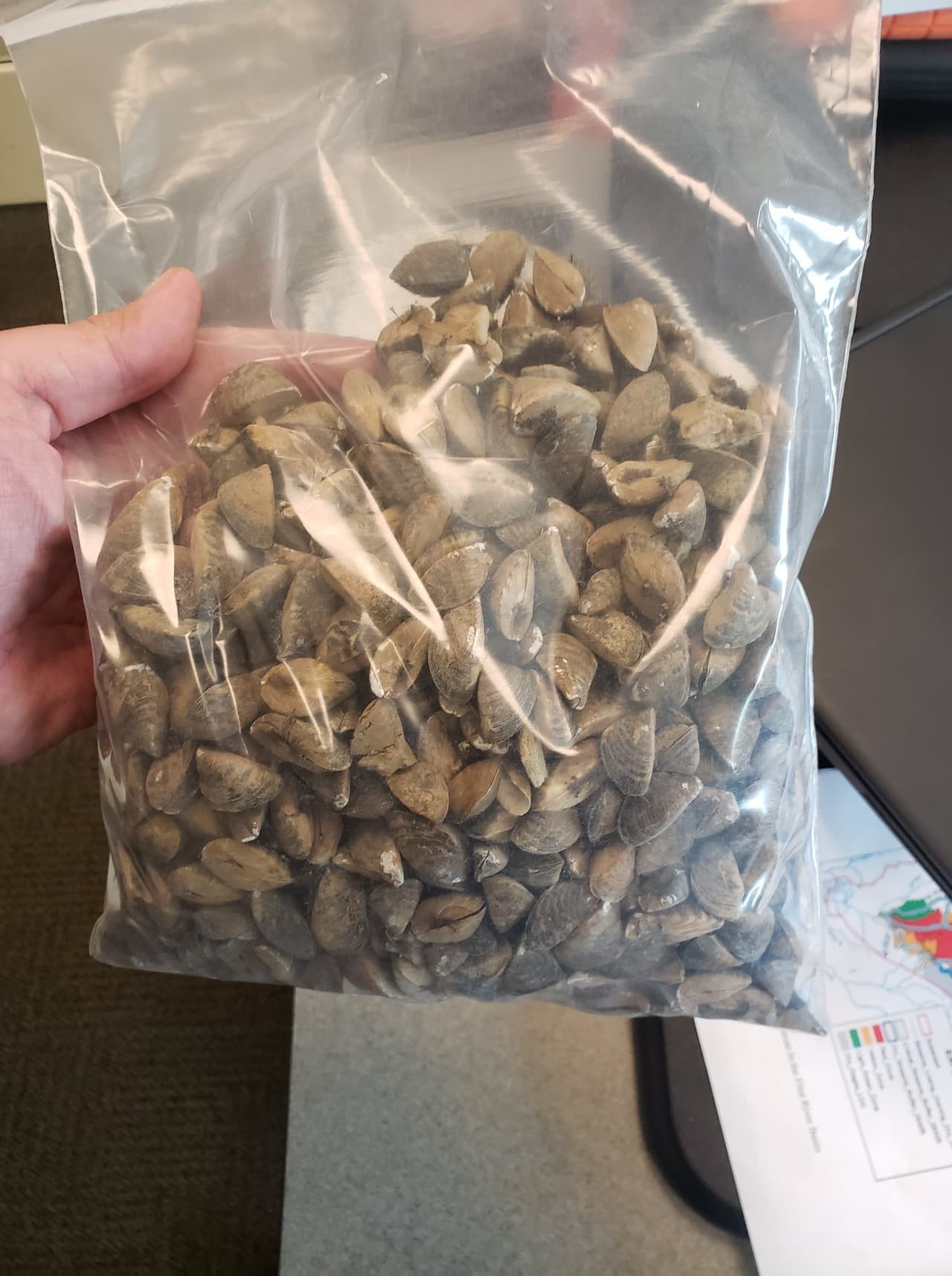 Los funcionarios sacaron alrededor de un galón de mejillones muertos del barco y trabajaron con los propietarios para asegurarse de que el barco estuviera drenado, limpio y completamente seco.