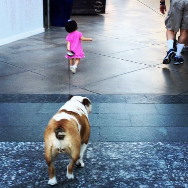 Aitana es la líder de la manada.