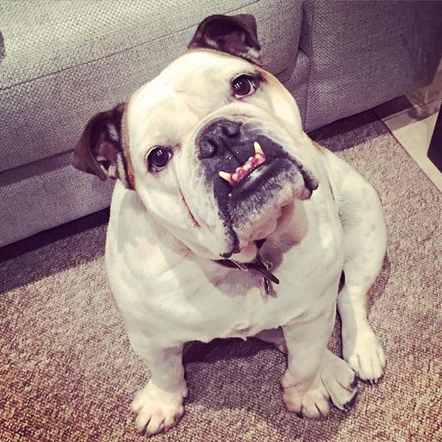 Fiona forma parte de la familia Derbez.