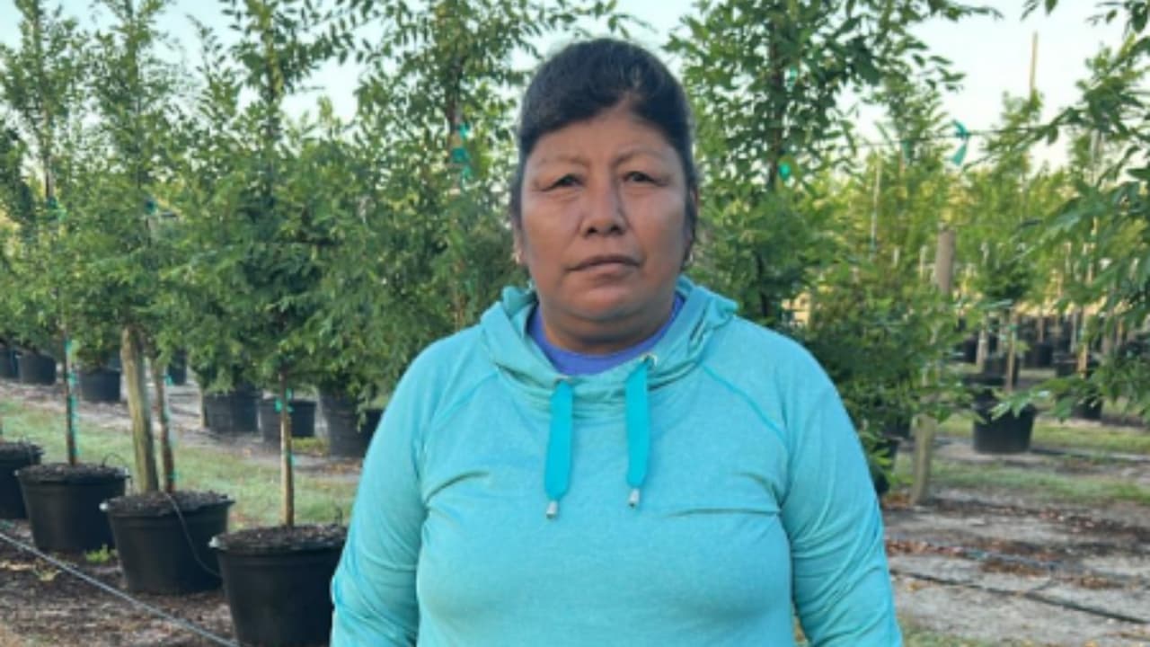 América Pérez ha trabajado en el campo desde que llegó a Estados Unidos en 2009 con una visa.