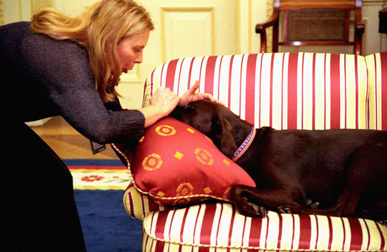 Buddy, mascota de Bill Clinton, se acuesta sobre el sofá de líneas rojas y blancas que había entonces en la Oficina Oval. 1998.