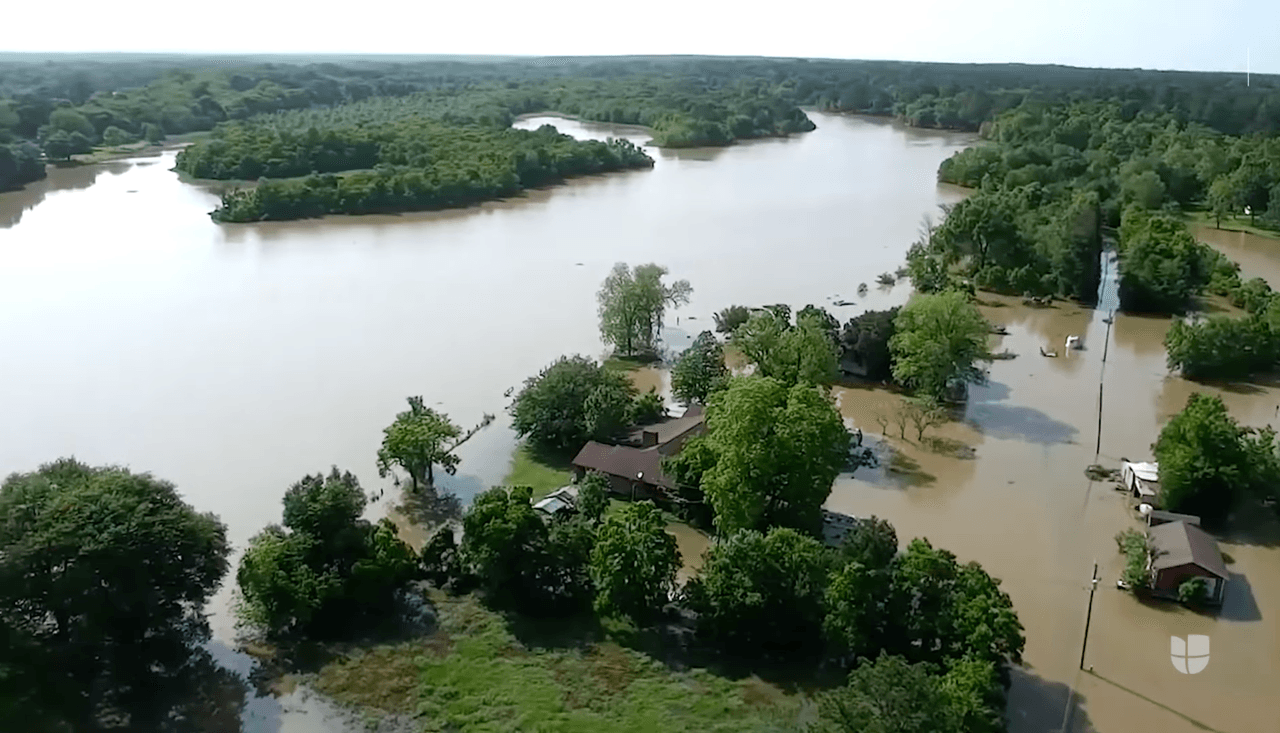 En algunas zonas, las inundaciones acabaron con casas y hasta animales. Las autoridades hicieron varias evacuaciones en áreas cerca a la carretera 99 y al río San Jacinto.
