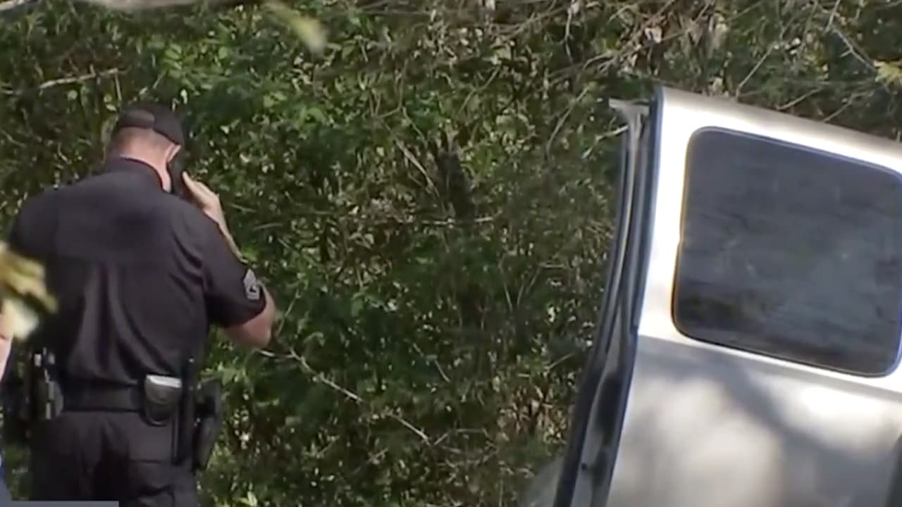 La pequeña regresó con su madre y de acuerdo con las autoridades no sufrió daño alguno.