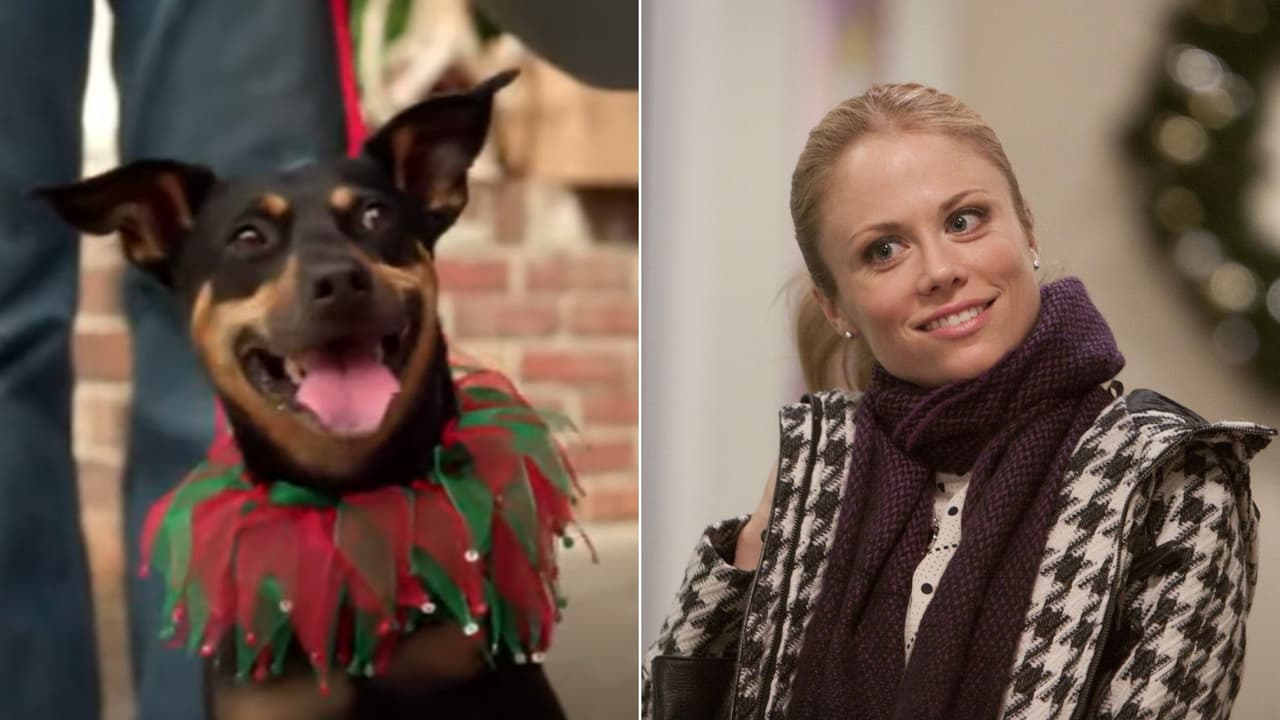 6 películas de Navidad para disfrutar en familia: puedes verlas totalmente gratis en ViX