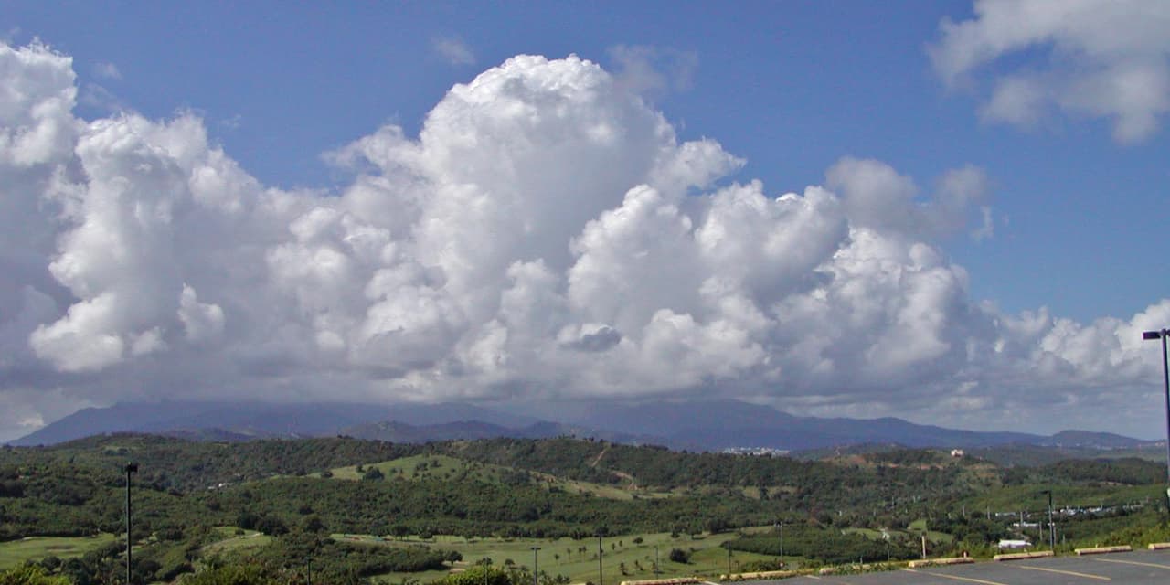 El supuesto poder protector de El Yunque, en Puerto Rico, ha hecho carrera a lo largo de la historia.
<br>