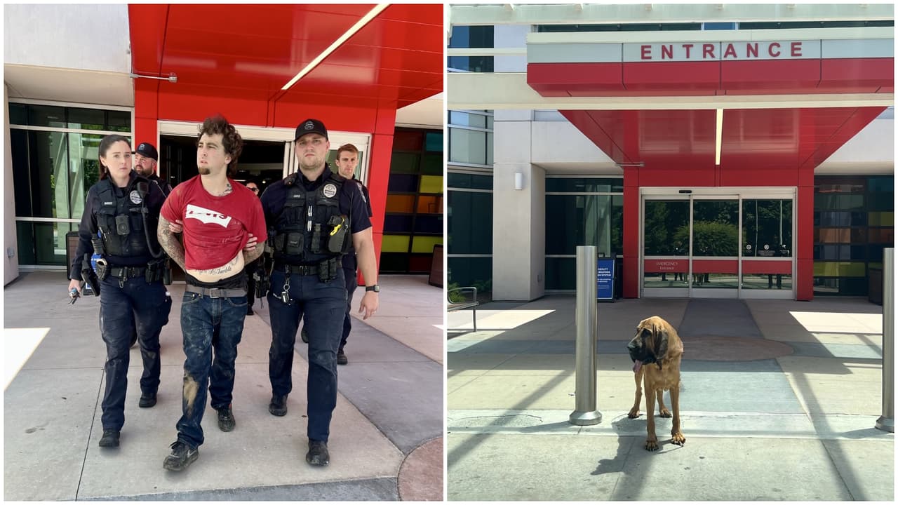 K9 ayuda a detener a sospechos de robo.