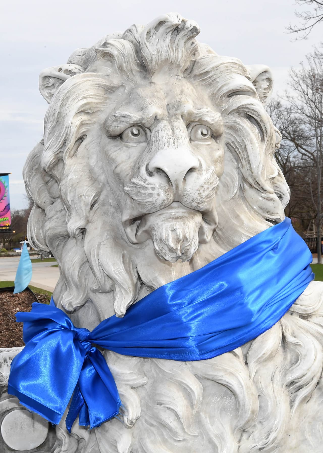 "Las icónicas estatuas de leones del zoológico de Brookfield cerca de su puerta sur estarán vestidas con bufandas azules y las banderas azules adornarán los terrenos del parque".
