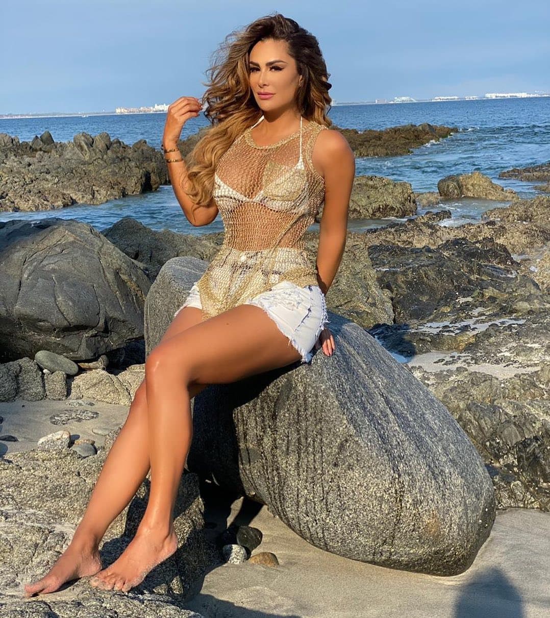 A ra铆z de esa fotograf铆a, recordamos a otras famosas que han cautivado al usar transparencias como es el caso de Ninel Conde, quien tambi茅n dej贸 ver su bikini en la playa.